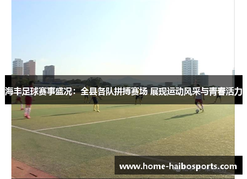 海丰足球赛事盛况：全县各队拼搏赛场 展现运动风采与青春活力