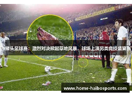 猪头足球赛：激烈对决掀起草地风暴，球场上演另类竞技盛宴